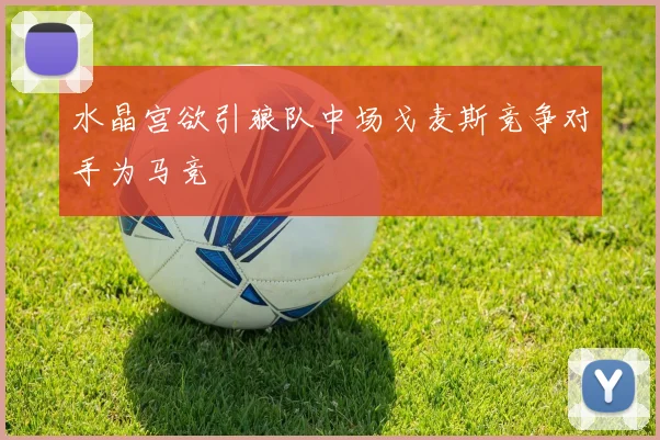 水晶宫欲引狼队中场戈麦斯竞争对手为马竞